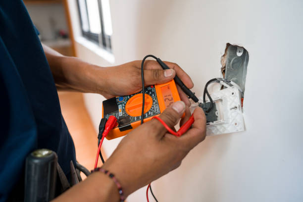 Best Electric Panel Repair  in Cassopolis, MI