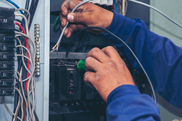 Best Licensed Electrician  in Cassopolis, MI