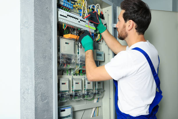 Best Local Electrician Companies  in Cassopolis, MI