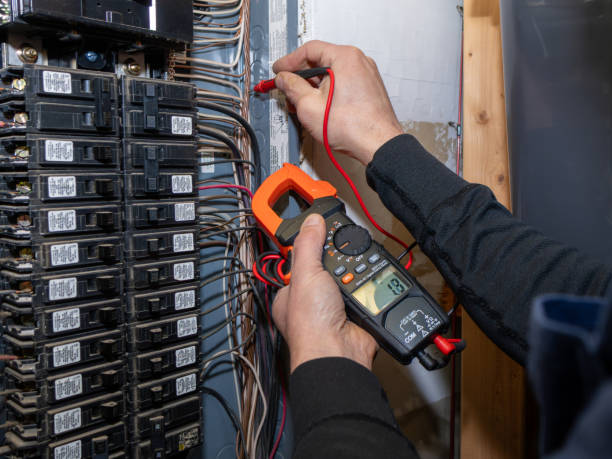 Best Electrical Rewiring Services  in Cassopolis, MI